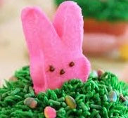 SugarNest MarshMallows & Eggs